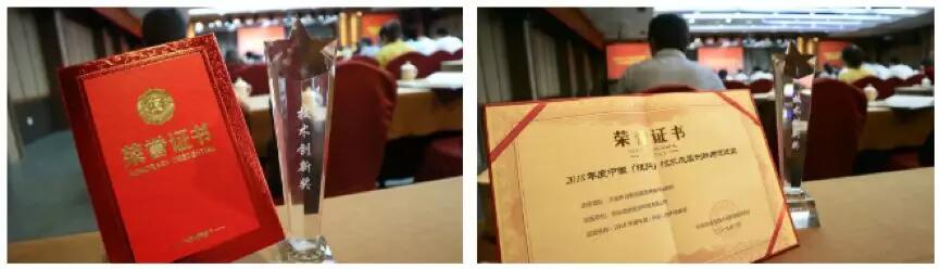 【合作伙伴】遠(yuǎn)傳技術(shù)斬獲杭州市2018年度技術(shù)成果創(chuàng)新與促進(jìn)獎